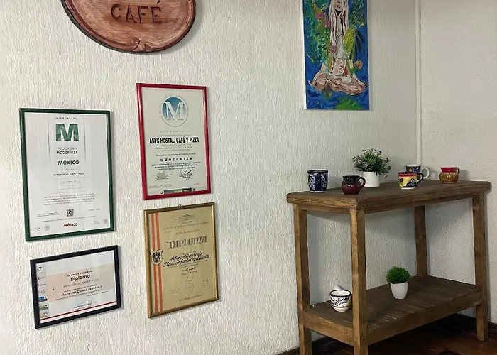 Anys Hostal Guest house Mexico City